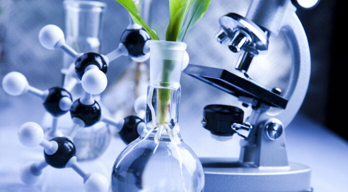 BiotechNews.com.au Celebrates Sixth Year of Publishing Australian Biotech News